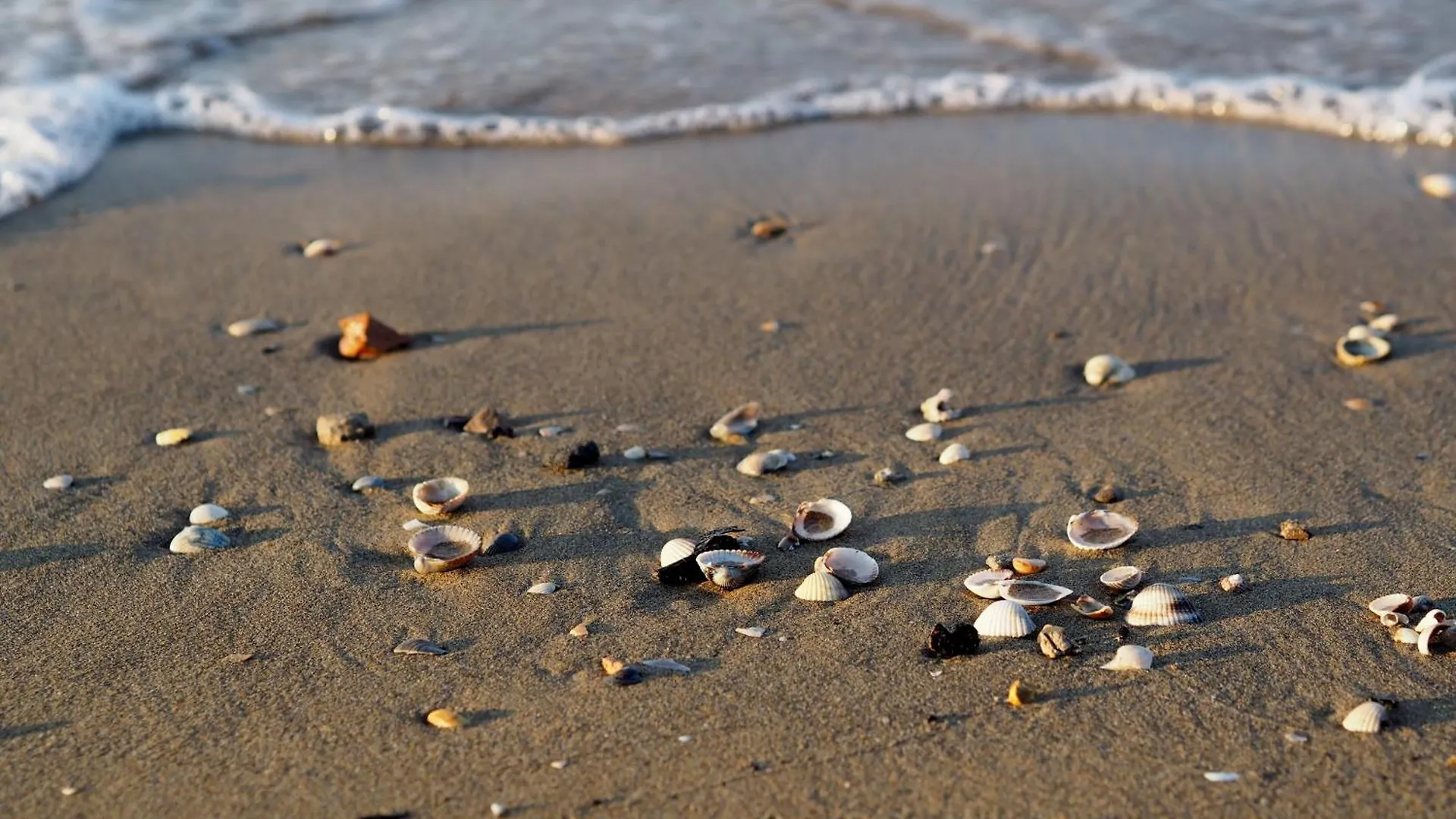 Two-Bedroom Apartment In A Wonderful Residence Bibione Italy